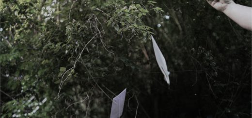 Empörung: Hunde-Tommy wird zornig 6 Ein fliegendes Kuvert