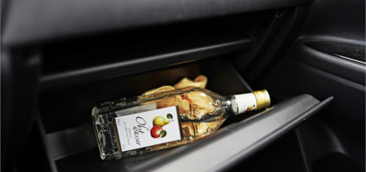 Gute Gefühle: Der Trost liegt im Handschuhfach 4 Schnaps im Auto