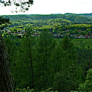 Wandern: Im Pfälzer Wald die Natur erträumen 2