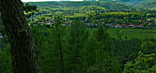 Wandern: Im Pfälzer Wald die Natur erträumen 2