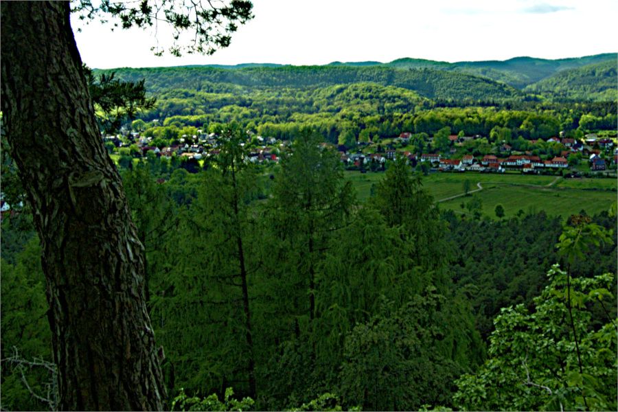 Wandern: Blick vom Lindelskopf auf Ludwigswinkel.