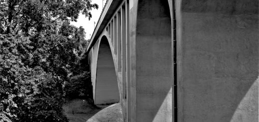 Klezmer: Die Freiheit hört laut 11