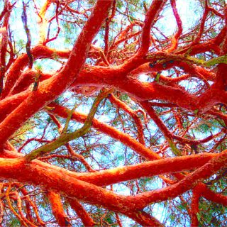 Schlussstrick: Die freie Wahl des Todes 5