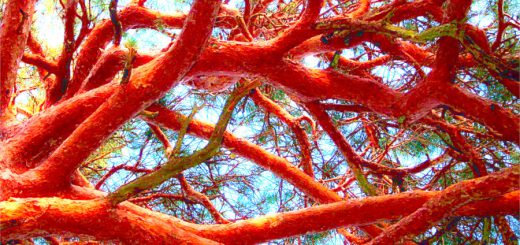 Schlussstrick: Die freie Wahl des Todes 1