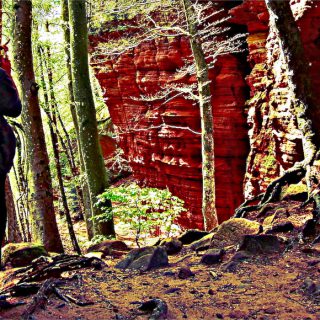 Selfie mit Sturmgewehr 10