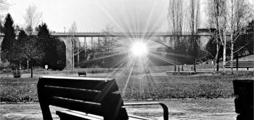 Auf einen Sprung unter die Streckbrücke 5 Auf einen Sprung unter die Streckbrücke 1