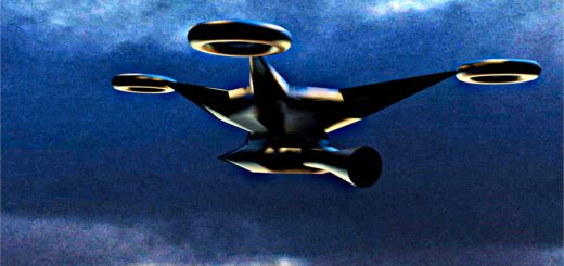 Überwachung mit Drohne im Pfälzer Wald 3