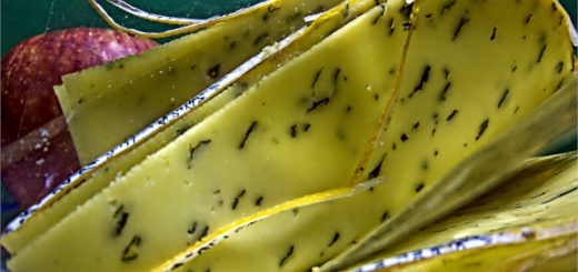 Der Käse, der mich rasend macht 1