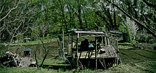 Flucht in die Laube 3 Flucht in die Laube 1