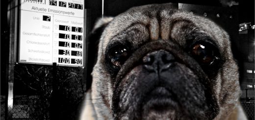 Ohne Mops weg, mit Mops zurück 1