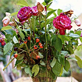 Die Vulva der Präsidentin und der Geldeintreiber 2