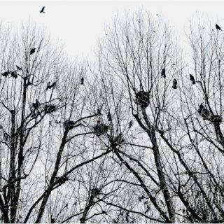 Abschiedsbrief: Warum sich Stefan das Leben nahm 8