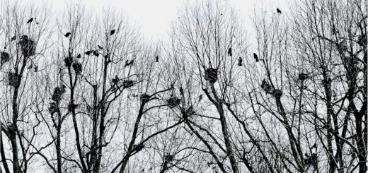 Abschiedsbrief: Warum sich Stefan das Leben nahm 2