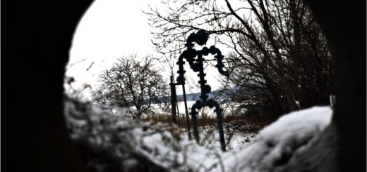 Eine frohe Witwe aus dem Schwarzwald 3