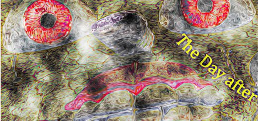 Wahn-Idee: Oh wie schön ist der Verrückten Land 1