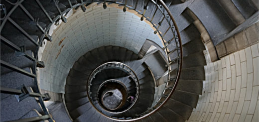 Journalisten sind wie Wackeldackel 5 Journalisten sind wie Wackeldackel 3