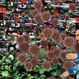 Bernd Buchhalter versucht Coronaviren zu verscheuchen. Bernd Buchhalter versucht Coronaviren zu verscheuchen.