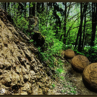 Mann mit Hut oder die Suche nach einem Wissenden 1