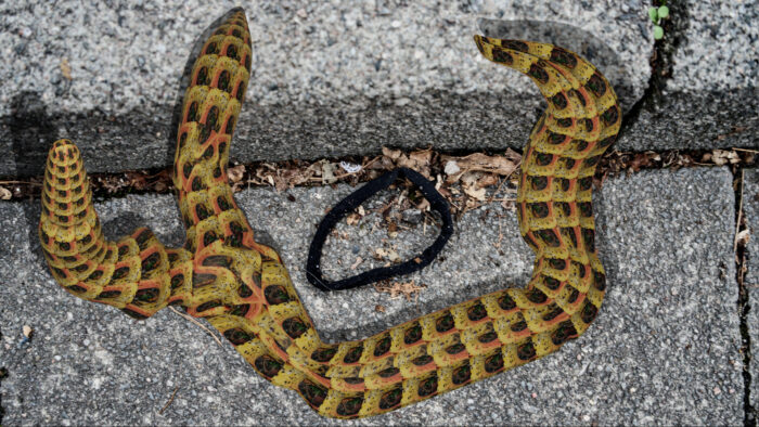 Eine verrückte Welt - Grafiken von Claude Otisse 3