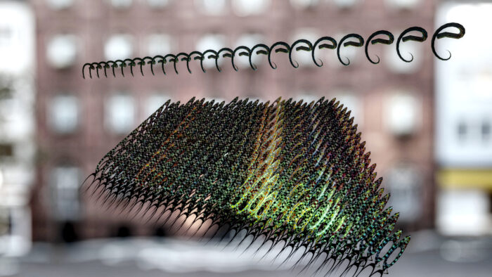 Eine verrückte Welt - Grafiken von Claude Otisse 13